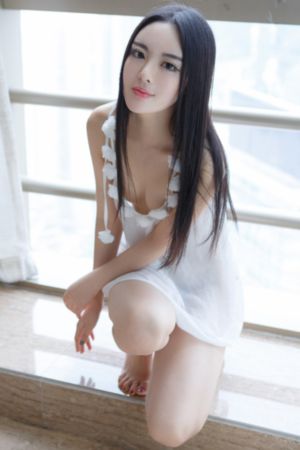 ova拯救精灵森林_免费观看字幕