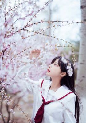 午夜视频免费看_高清免费在线播放